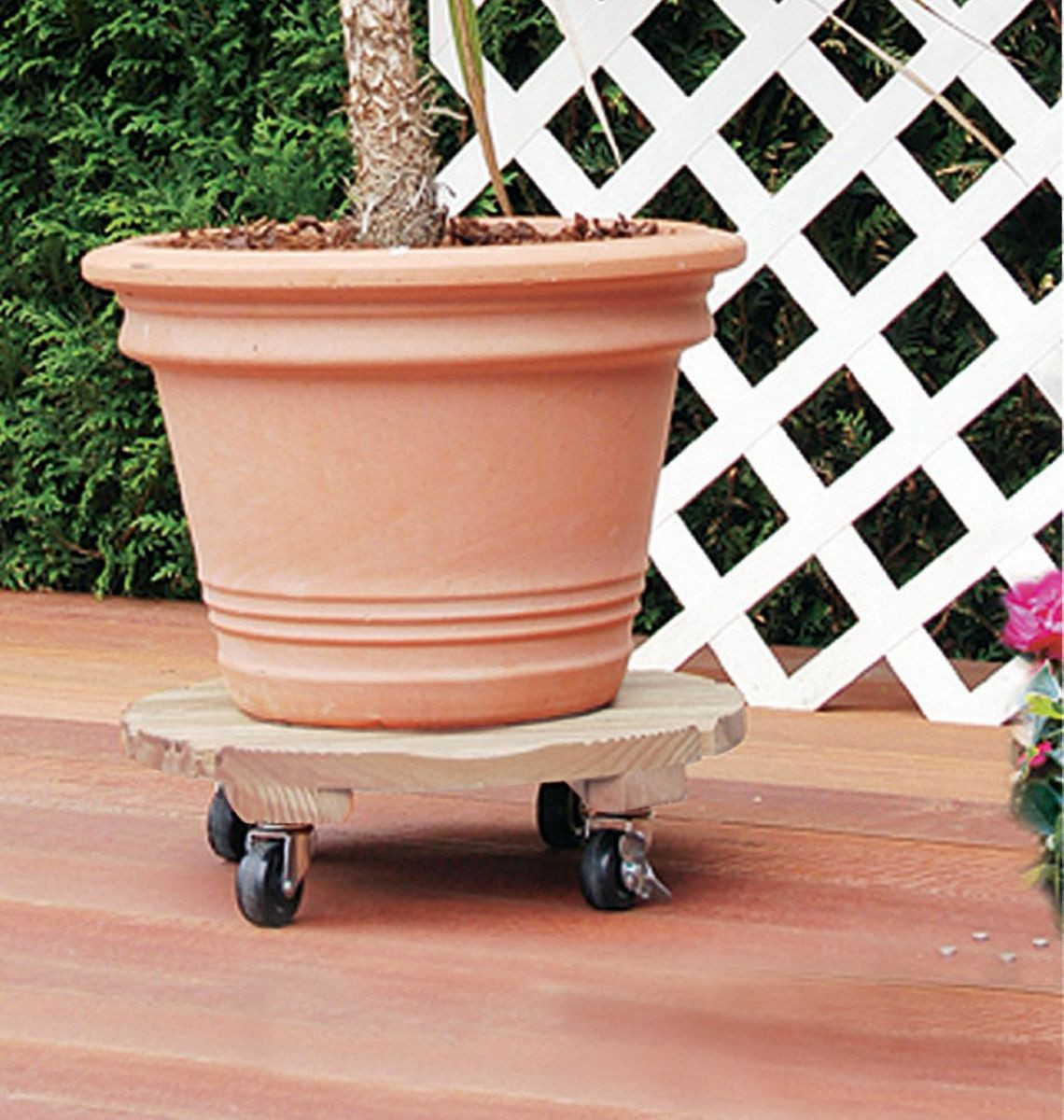 Support à roulettes rond "Flora Roll Autoclave" - 35 cm
