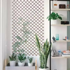 Treillis extensible en bambou bicolore 1 x 2 m - naturel - support pour plantes grimpantes
