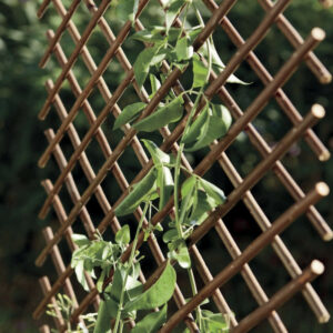 Treillis extensible en osier naturel 0,5 x 1,5 m - finition brun - décoratif