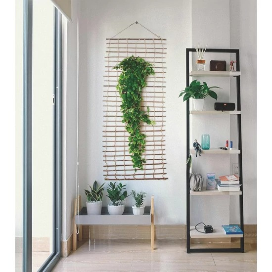 Treillis mural naturel marron 1 x 2 m - support pour plantes grimpantes