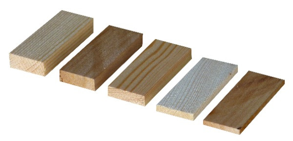 Cales en bois x 100