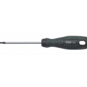 Tournevis Tamper T25 100 mm