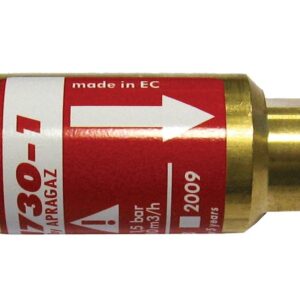 Paire clapet anti-retour SECURIDAVE SG2 Plus pour détendeur M16 6/10 mm GCE CHARLEDAVE GF28420005EMB