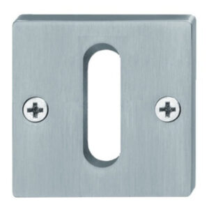 Paire de rosettes carré fixation invisible clé L inox FSB 1796-CH-0210-01