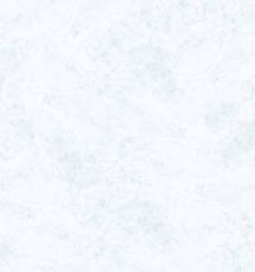 Panneau de douche VIPANEL aspect marbre blanc 100 x 255 cm ROTH 1420000014
