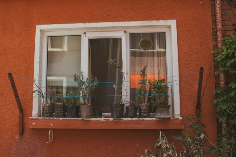 Rallonge électrique déroulée dans un jardin avant l’utilisation d’un outil