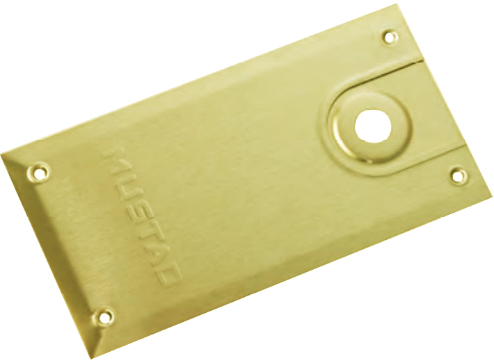 Plaque de pivot grand modèle 710.02GR pour série 8610 laiton poli LCN 3050705080