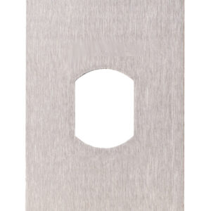 Plaque inox 40 x 100 mm T25 avec 2 vis antivandales HERACLES PCA-PL40PP