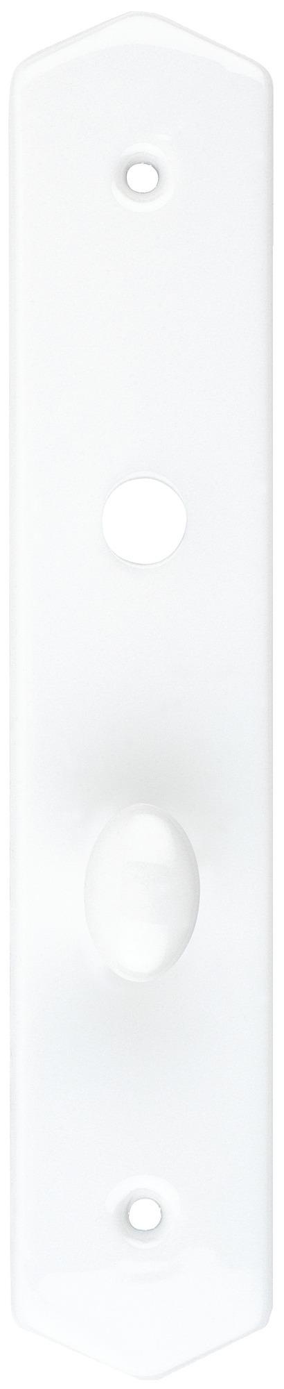 Plaque simple condamnation ovale LT MERIGOUS V011011100