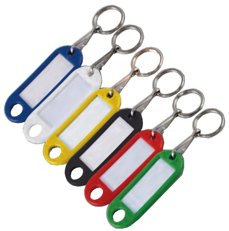 Porte-étiquette bleu avec anneau boîte de 100 CHAPUIS 7140/10B