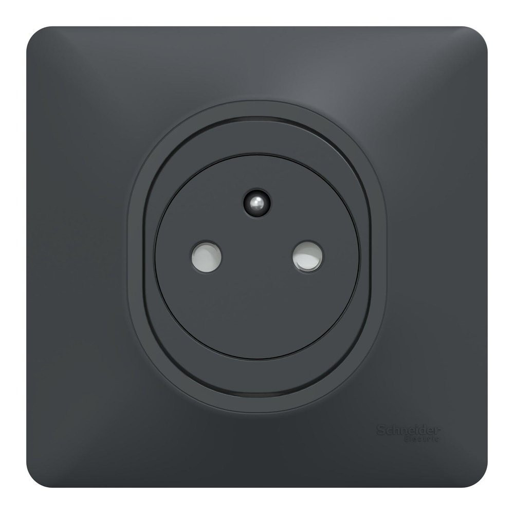 Prise avec terre affleurante complet Ovalis, SCHNEIDER ELECTRIC, gris anthracite