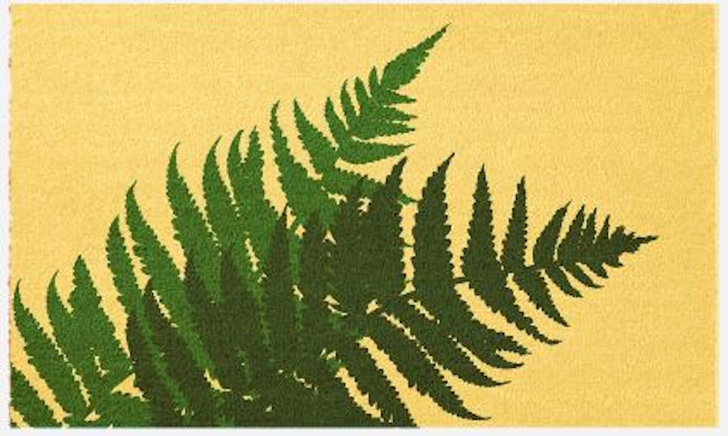 Paillasson 75x45 Fibre Naturelle - Fougères