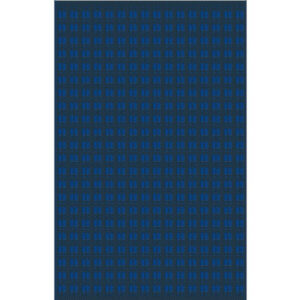 Tapis d’extérieur pour salon détente ou repas bleu/graphite 240 x 150 cm