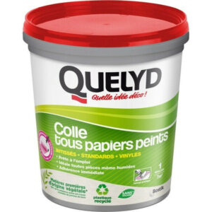 Colle pâte tous papiers peints QUELYD, 1 kg