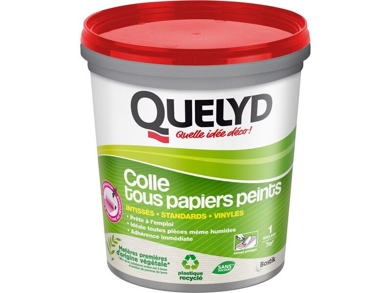 Colle pâte tous papiers peints QUELYD, 1 kg