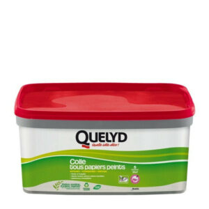 Colle Pate tous papiers peints QUELYD, 3 kg