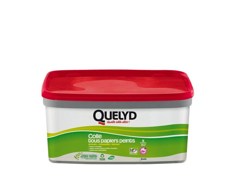 Colle Pate tous papiers peints QUELYD, 3 kg