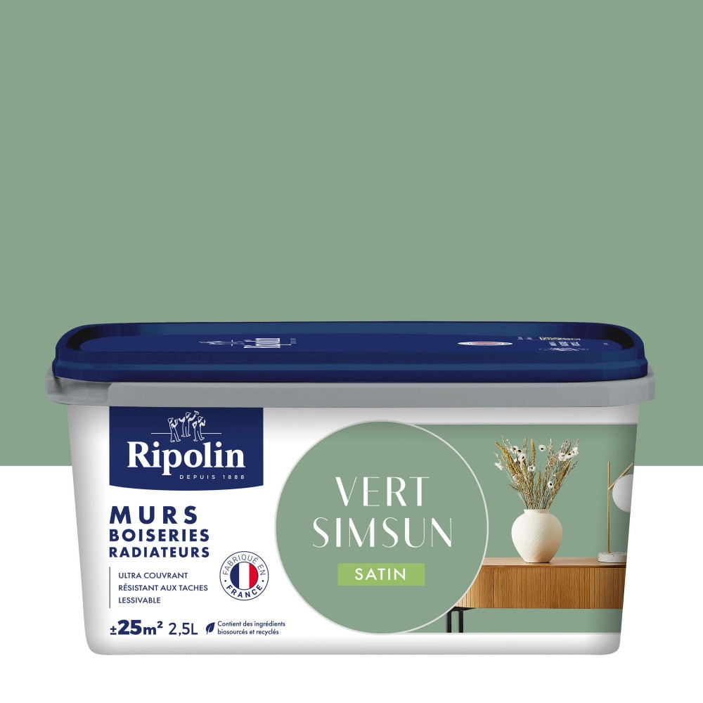 Peinture intérieur mur/boiserie/radiateur satiné, RIPOLIN, vert simsun, 2.5 litres