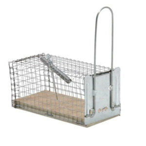 Nasse à souris socle bois, CAUSSADE