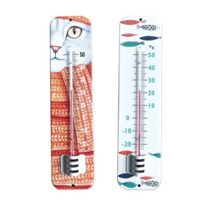 Thermomètre intérieur ou extérieur