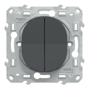 Double interrupteur à assembler Ovalis, SCHNEIDER ELECTRIC, anthracite