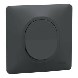 Lot de 5 interrupteurs va-et-vient complet Ovalis SCHNEIDER ELECTRIC, anthracite