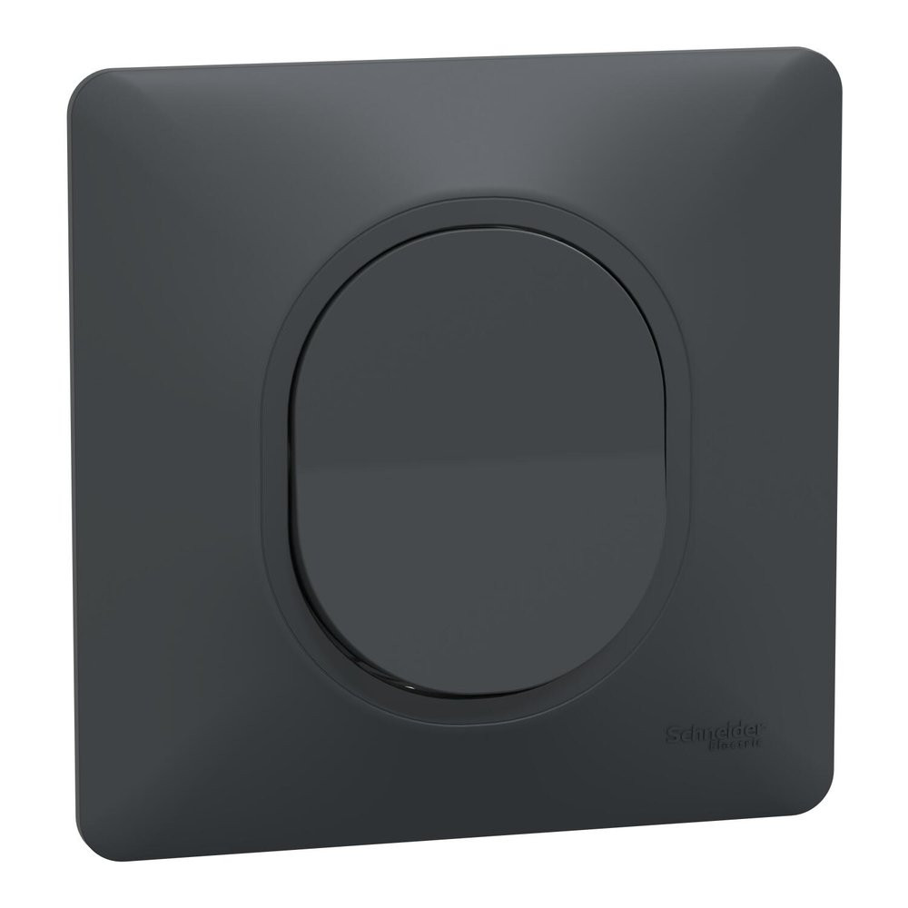 Lot de 5 interrupteurs va-et-vient complet Ovalis SCHNEIDER ELECTRIC, anthracite