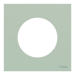 Plaque simple Odace, SCHNEIDER ELECTRIC, vert jade