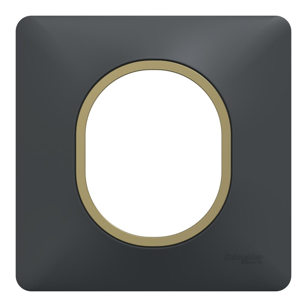 Plaque simple Ovalis, SCHNEIDER ELECTRIC, anthracite bague effet laiton