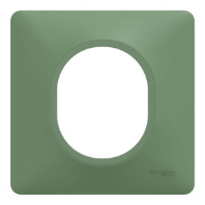 Plaque simple Ovalis, SCHNEIDER ELECTRIC, vert forêt