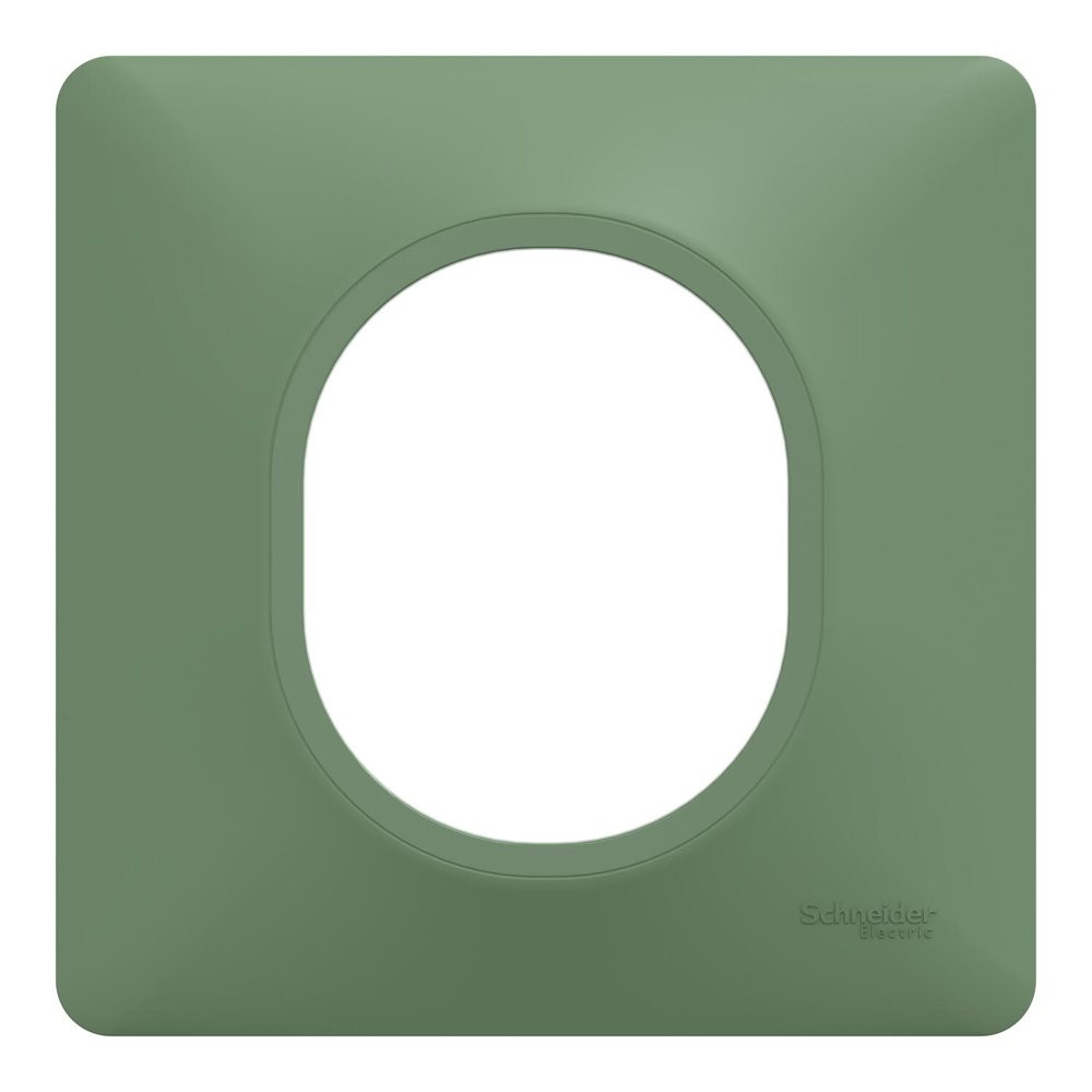 Plaque simple Ovalis, SCHNEIDER ELECTRIC, vert forêt