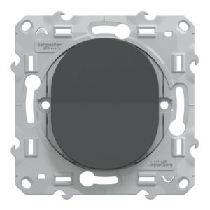 Poussoir à assembler Ovalis, SCHNEIDER ELECTRIC, anthracite