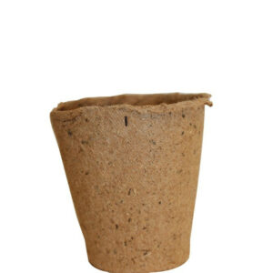 Support d'ensemencement L.12.5 x l.8 cm,