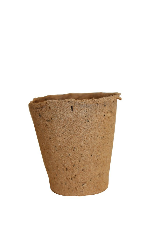 Support d'ensemencement L.12.5 x l.8 cm,