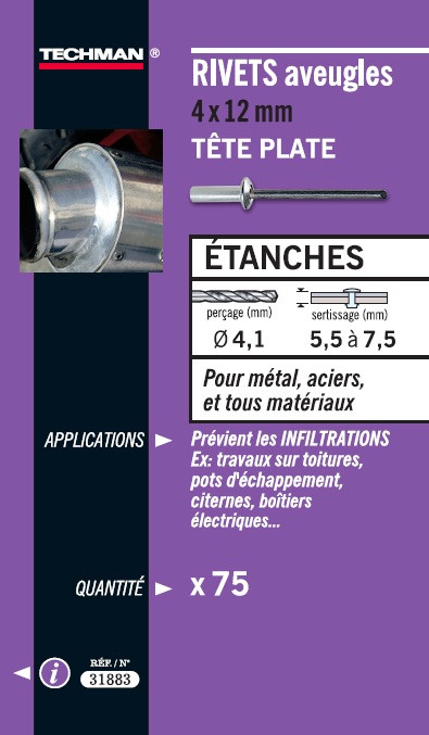 50 rivets étanches alu/acier (tête plate) Ø 4,8 x 12 mm