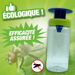 Piège à mouches