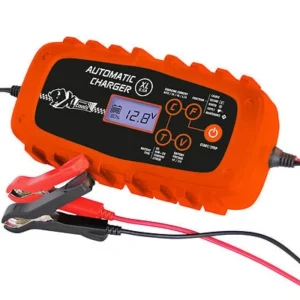 3221325539878 - Chargeur automatique de batter