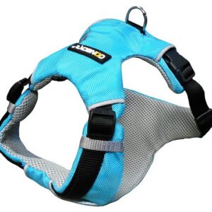 3281014634369 - Harnais sport Coneckt taille