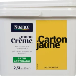 3505391057147 - Peinture MonoCrÃ¨me - Carton j