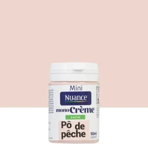 3505391058342 - Testeur peinture MonoCrÃ¨me -