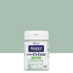 3505391058847 - Testeur peinture MonoCrème -