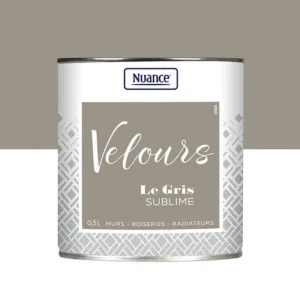 436203 - Peinture Velours - Gris sublim