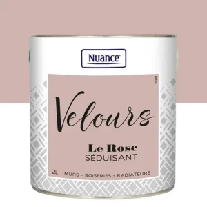 436232 - Peinture Velours - Rose seduis