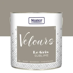 436235 - Peinture Velours - Gris sublim