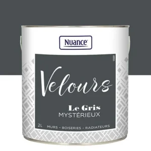 436237 - Peinture Velours - Gris myster