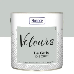 436239 - Peinture Velours - Gris discre