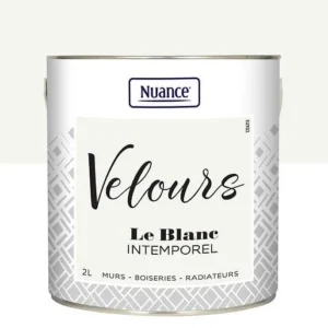 436242 - Peinture Velours - Blanc intem