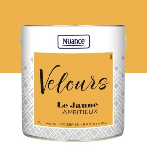 436249 - Peinture Velours - Jaune ambit