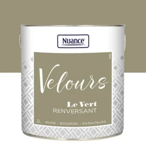 436252 - Peinture Velours - Vert renver