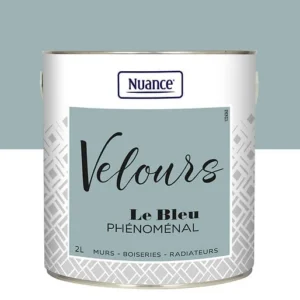 436256 - Peinture Velours - Bleu phenom